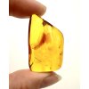 Insects in amber – Lithuania – 4g