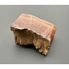 Aragonite variety Vridlovec – Karlovy Vary, CZ
