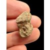 Meteorit Bechar 008, Howardit 2,88g – Algerien