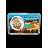 Meteorit Bechar 008, Howardit 4,9g – Algerien