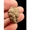 Meteorit Bechar 008, Howardit 4,9g – Algerien