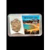 Meteorit Bechar 008, Howardit 4,43g – Algerien