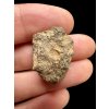 Meteorit Bechar 008, Howardit 4,43g – Algerien
