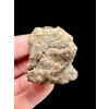 Meteorit Bechar 008, Howardit 38,7g – Algerien