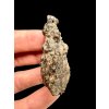 Meteorit Bechar 008, Howardit 28,8g – Algerien