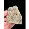 Meteorit Bechar 008, Howardit 66,2g – Algerien