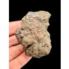 Meteorit Bechar 008, Howardit 70,8g – Algerien