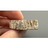Petrified wood "Araucarite" 3,3cm – Madagascar