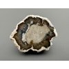 Petrified wood "Araucarite" 3,7cm – Madagascar