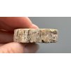 Zkamenělé dřevo "Araukarit" 3,7cm – Madagaskar