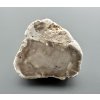 Zkamenělé dřevo "Araukarit" 2,9cm – Madagaskar