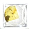 Insects in amber in a box with magnifying glass – Lithuania