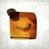 Insects in amber in a box with magnifying glass – Lithuania