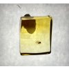 Insekten in Bernstein in einer Schachtel mit Vergrößerungsglas – Litauen