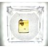 Insects in amber in a box with magnifying glass – Lithuania