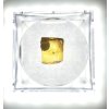 Insects in amber in a box with magnifying glass – Lithuania