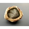 Versteinertes Holz "Araukarit" 2,8cm – Madagaskar