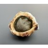 Petrified wood "Araucarite" 2,8cm – Madagascar
