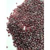 Böhmischer Granat (pyrop) 50g – Ceske Stredohori, CZ