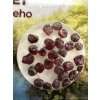Böhmischer Granat (pyrop) in der Box – Vestrev u Hostinneho, CZ