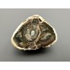 Petrified wood "Araucarite" 3,1cm – Madagascar