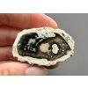 Petrified wood "Araucarite" – Madagascar