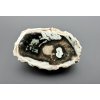 Petrified wood "Araucarite" – Madagascar
