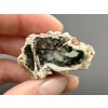 Zkamenělé dřevo "Araukarit" 3,7cm – Madagaskar