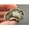 Petrified wood "Araucarite" 3,5cm – Madagascar