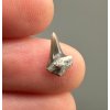 Fossil shark's tooth – Upohlavy, CZ