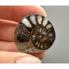 Amonit 2,7cm – Maroko