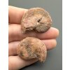 Ammonite (pair) – Morocco