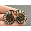 Ammonite (pair) – Morocco