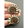 Ammonite (pair) – Morocco
