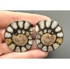 Ammonite (pair) 3,4cm and 3,4cm – Morocco