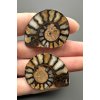 Ammonite (pair) 3,7cm and 3,7 cm – Morocco