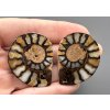 Ammonite (pair) 3,7cm and 3,7 cm – Morocco