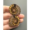 Ammonit (Paar) 3,2cm und 3,2cm – Marokko