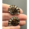 Ammonit (Paar) 2,4cm und 2,3cm – Marokko