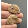 Amonit (pár) 2,4cm a 2,4cm – Maroko