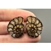 Ammonite (pair) 2,4cm and 2,4cm – Morocco