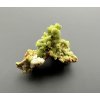 Pyromorphite – Yangshuo Guilin – Guangxi, China