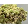 Pyromorphite – Yangshuo Guilin – Guangxi, China