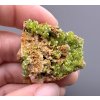 Pyromorphite – Yangshuo Guilin – Guangxi, China