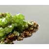 Pyromorphite – Yangshuo Guilin – Guangxi, China