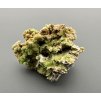 Pyromorphite – Yangshuo Guilin – Guangxi, China