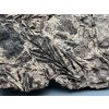 Fossile Flora – Most, CZ