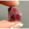 Rubellite – Pikarec, CZ