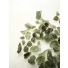 Moldavite chips – Mix of quality – 50g