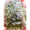 Moldavite – Olesnice – 5,3g